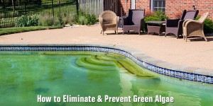 how to prevent and elminate green algae